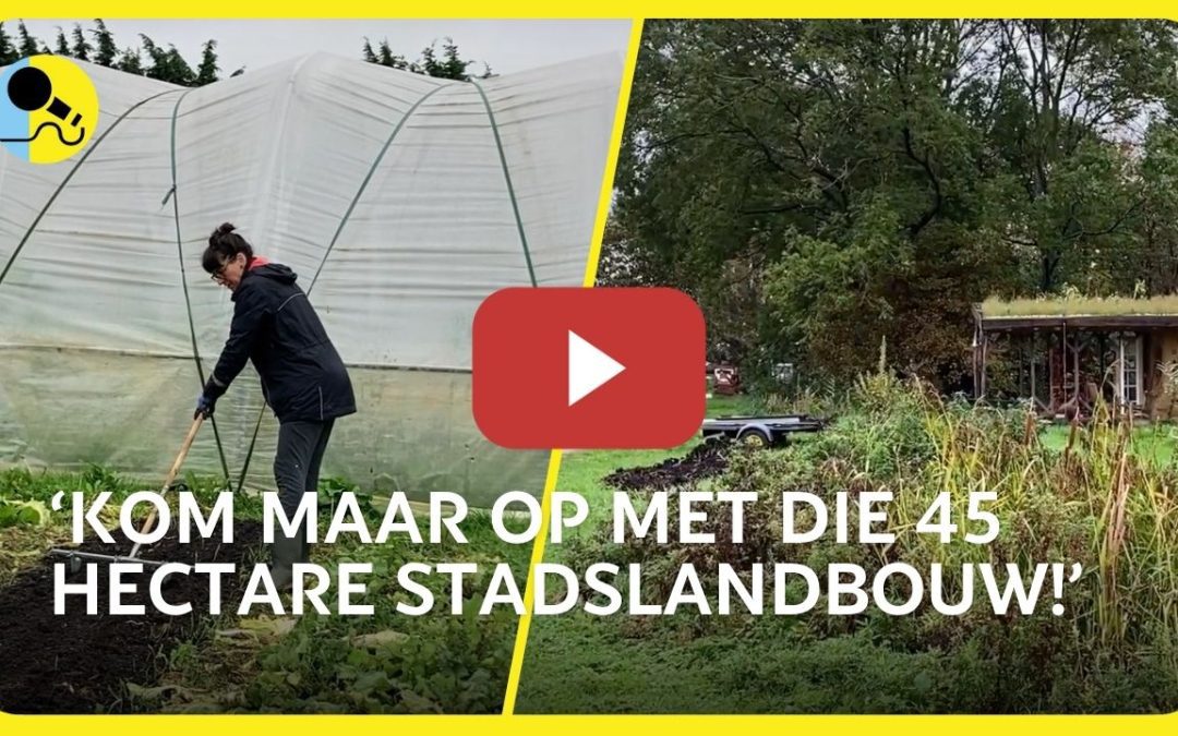 Stadsreporters bij de Lutkemeerpolder – Voedselpark Amsterdam