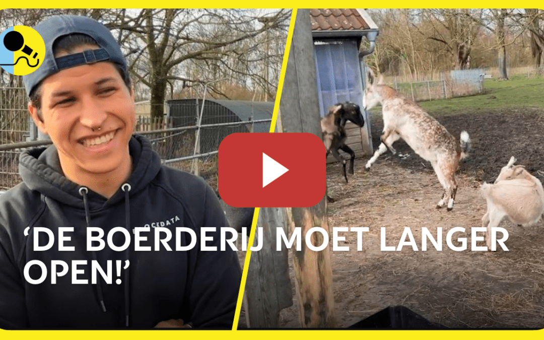 Gouden Stadsreporters bij Kinderboerderij de Strohalm